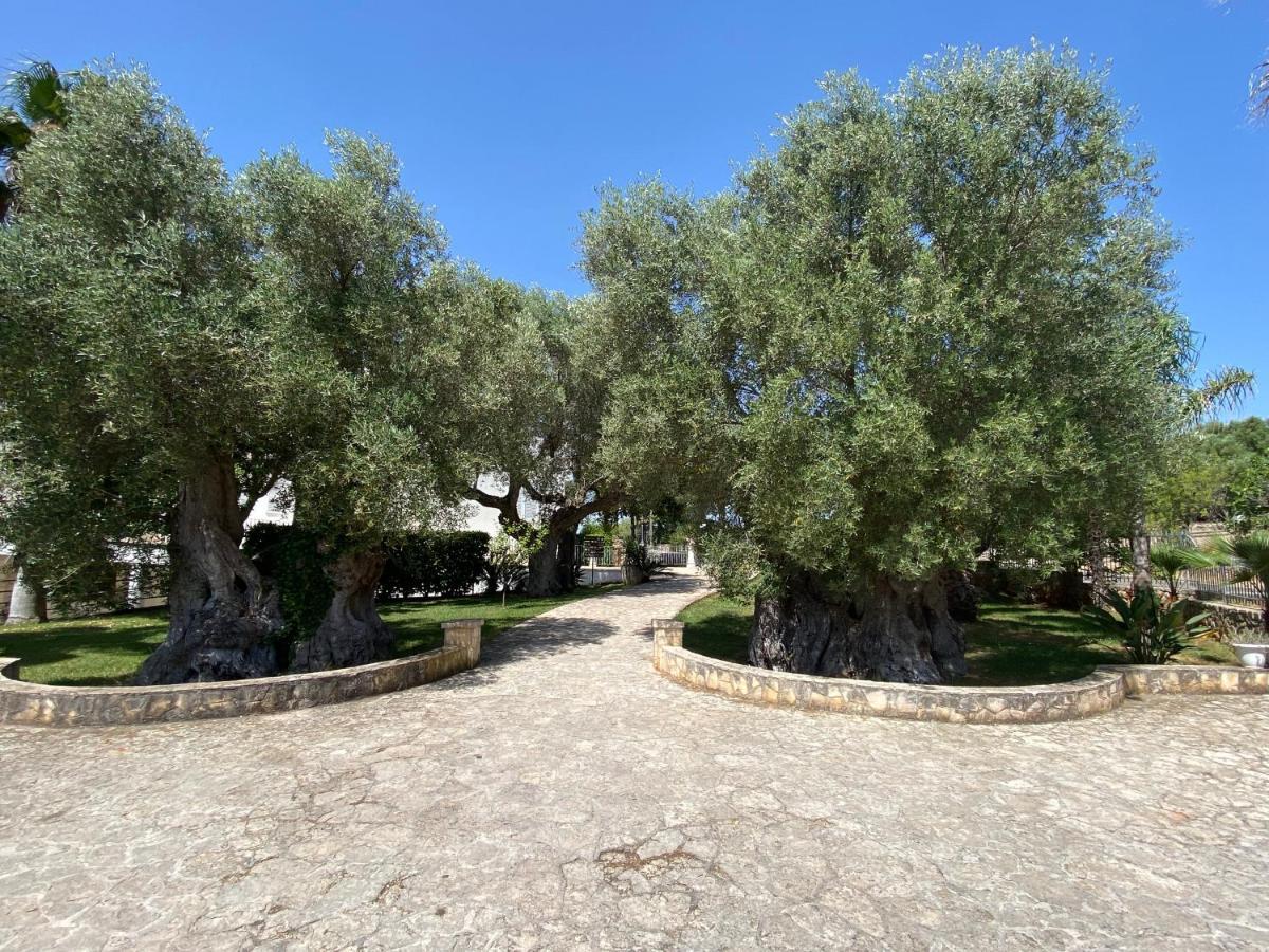Citta Bianca Country Resort Ostuni Exterior photo