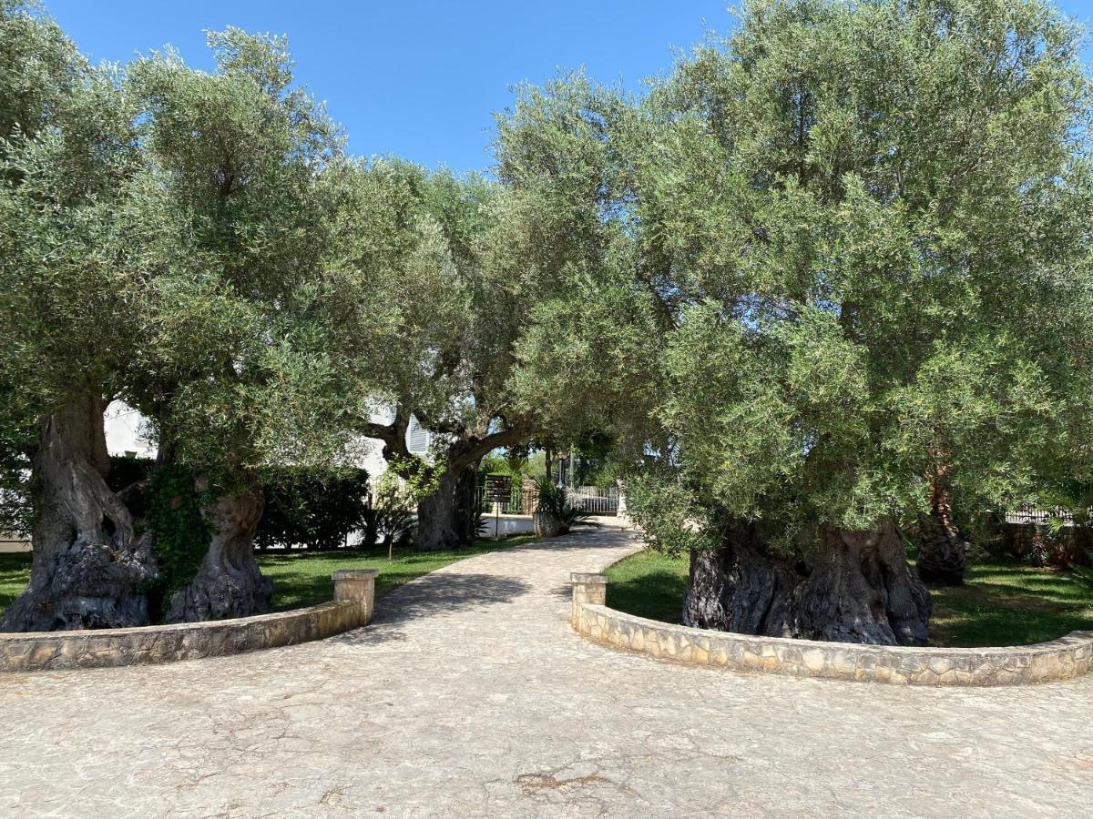 Citta Bianca Country Resort Ostuni Exterior photo