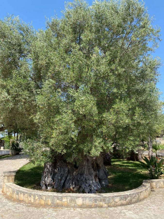 Citta Bianca Country Resort Ostuni Exterior photo